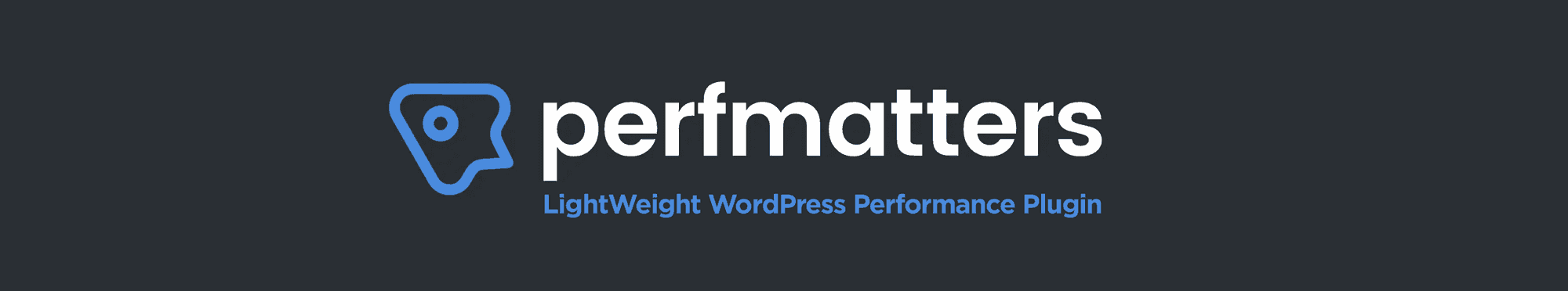 Perfmatters WordPress performance plugin dashboard