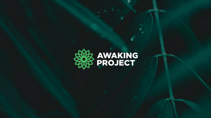 Awaking Project