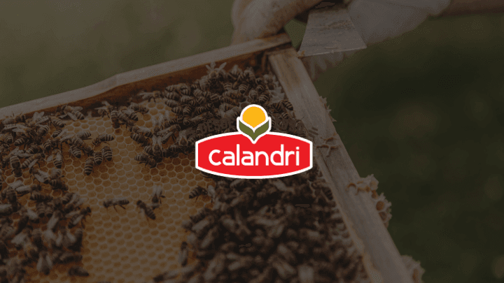 Calandrí