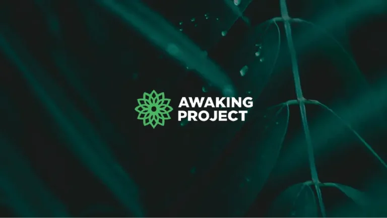 featured awaking project