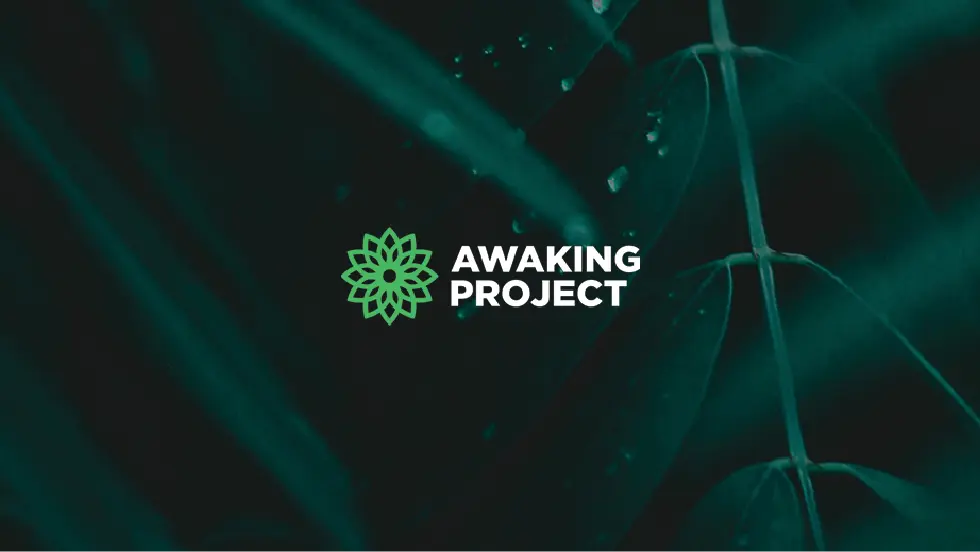 featured awaking project