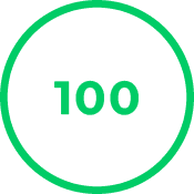 PageSpeed score 100