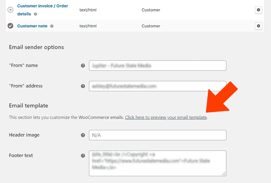 Enlace para previsualizar el correo